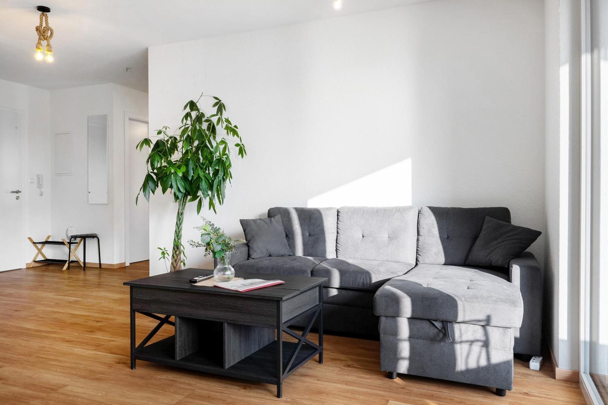 Lucy Appartments Kappel-Grafenhausen Zewnętrze zdjęcie